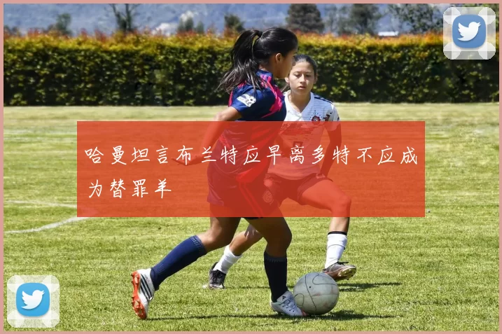 哈曼坦言布兰特应早离多特不应成为替罪羊