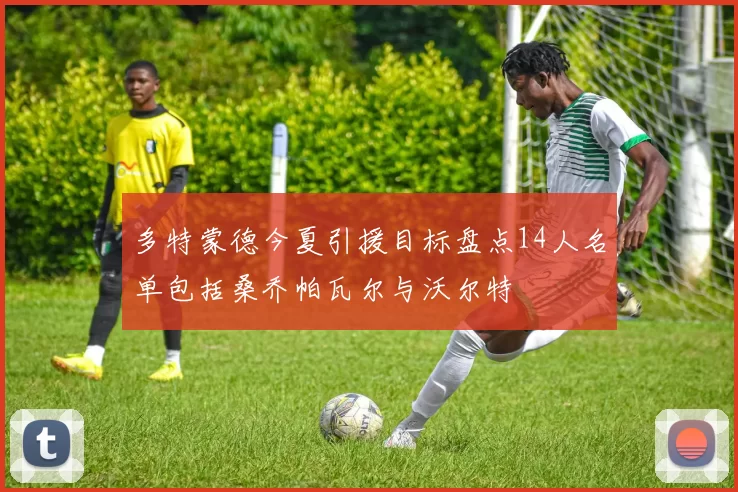 多特蒙德今夏引援目标盘点14人名单包括桑乔帕瓦尔与沃尔特